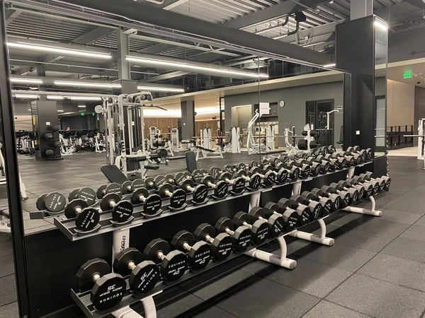 1 bedroom apartment for rent in Tribeca - Manhattan, New York