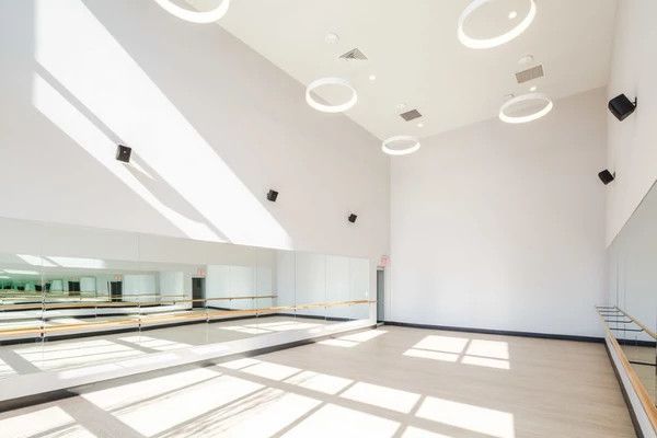 Studio Apartment for rent in LIC - Queens, New York