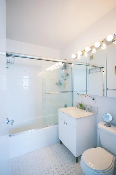 1 bedroom apartment for rent in LIC - Queens, New York