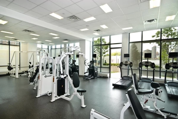 1 bedroom apartment for rent in LIC - Queens, New York