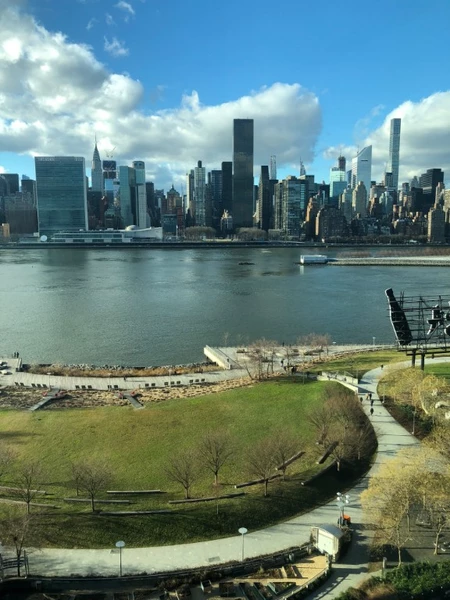 1 bedroom apartment for rent in LIC - Queens, New York