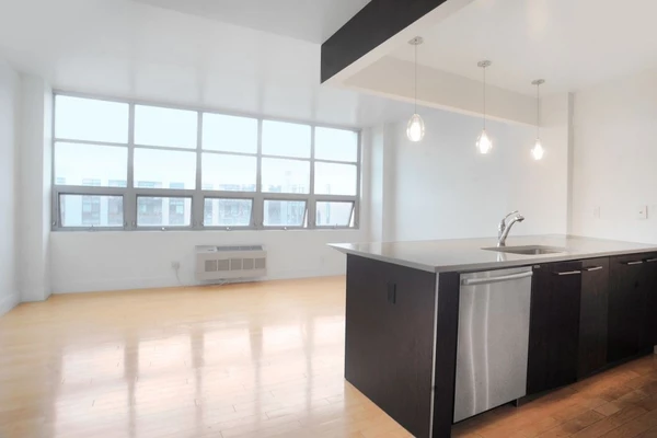 1 bedroom apartment for rent in LIC - Queens, New York
