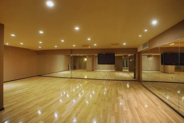 1 bedroom apartment for rent in LIC - Queens, New York