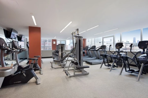 1 bedroom apartment for rent in LIC - Queens, New York