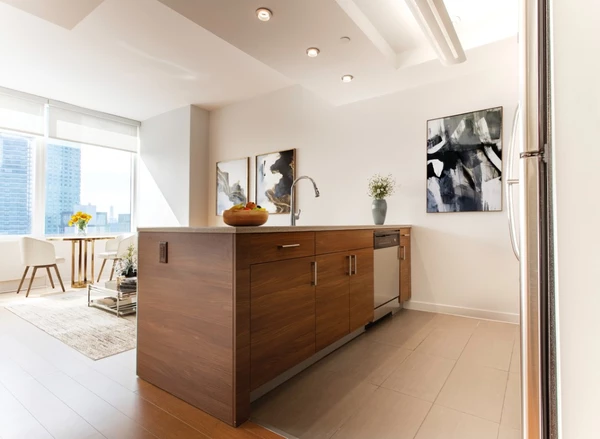 1 bedroom apartment for rent in LIC - Queens, New York