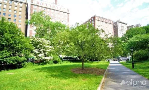 1 bedroom apartment for rent in Harlem - Manhattan, New York