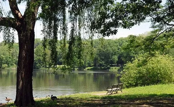 2 bedrooms apartment for rent in Inwood - Manhattan, New York