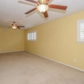 Room for rent in Westchase #1