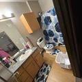 Room for rent in Temple Terrace #1