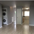 Room for rent in Braeswood Place #5