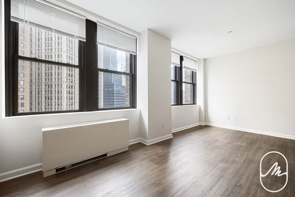 1 bedroom apartment for rent in FiDi - Manhattan, New York