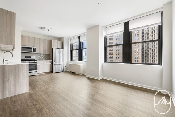 1 bedroom apartment for rent in FiDi - Manhattan, New York
