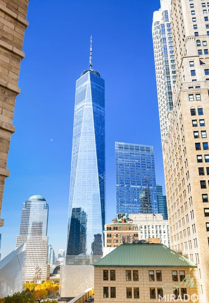 1 bedroom apartment for rent in FiDi - Manhattan, New York