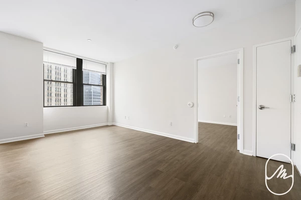 1 bedroom apartment for rent in FiDi - Manhattan, New York