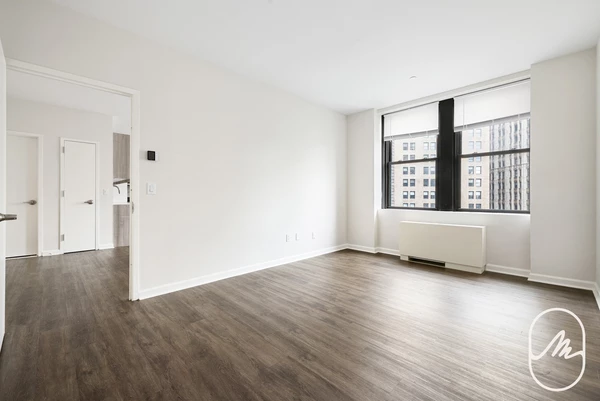 1 bedroom apartment for rent in FiDi - Manhattan, New York