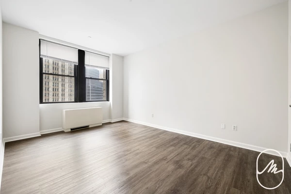 1 bedroom apartment for rent in FiDi - Manhattan, New York