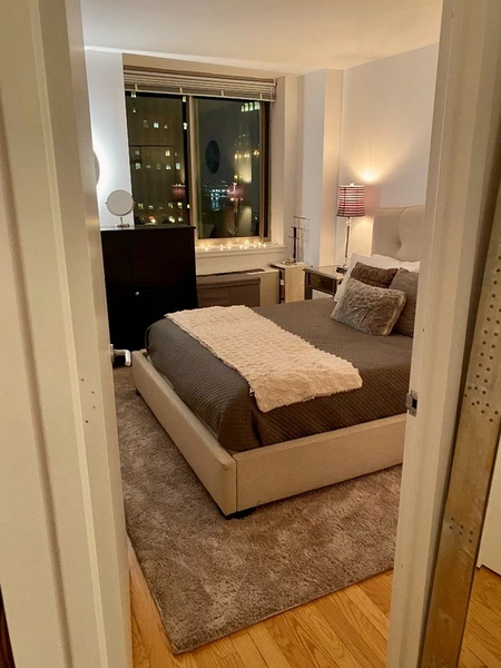 1 bedroom apartment for rent in FiDi - Manhattan, New York