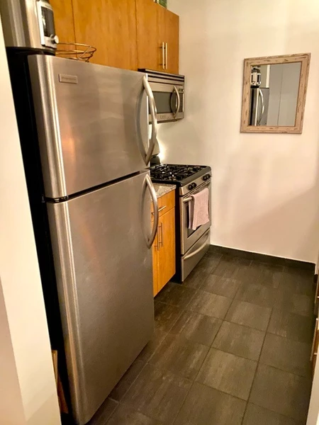 1 bedroom apartment for rent in FiDi - Manhattan, New York