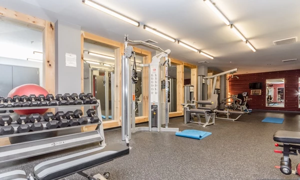 1 bedroom apartment for rent in Williamsburg - Brooklyn, New York