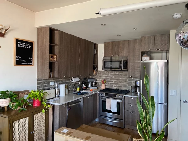 1 bedroom apartment for rent in Williamsburg - Brooklyn, New York