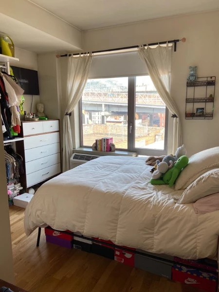 1 bedroom apartment for rent in Williamsburg - Brooklyn, New York