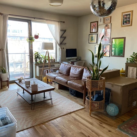 1 bedroom apartment for rent in Williamsburg - Brooklyn, New York