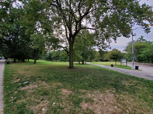 1 bedroom apartment for rent in Midtown - Manhattan, New York