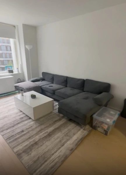 1 bedroom apartment for rent in Midtown - Manhattan, New York