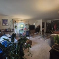 Room for rent in Seward Park #7