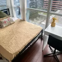 Coliving in University of Toronto - Downtown TO, Toronto