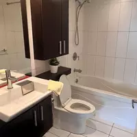 Coliving in University of Toronto - Downtown TO, Toronto