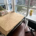 Coliving in University of Toronto - Downtown TO, Toronto
