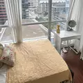 Coliving in University of Toronto - Downtown TO, Toronto