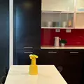 Coliving in University of Toronto - Downtown TO, Toronto