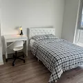 Coliving in Mississauga - Mississauga, Toronto