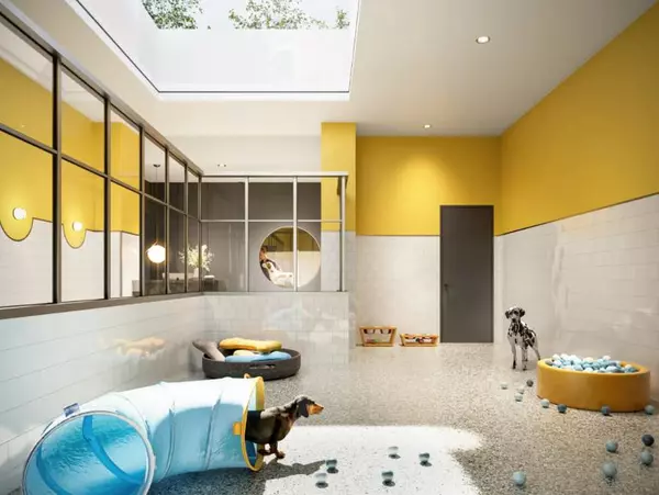 Studio Apartment for rent in LIC - Queens, New York