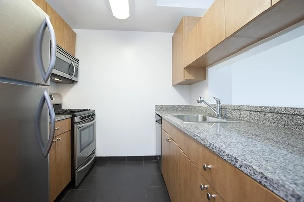 Studio Apartment for rent in LIC - Queens, New York