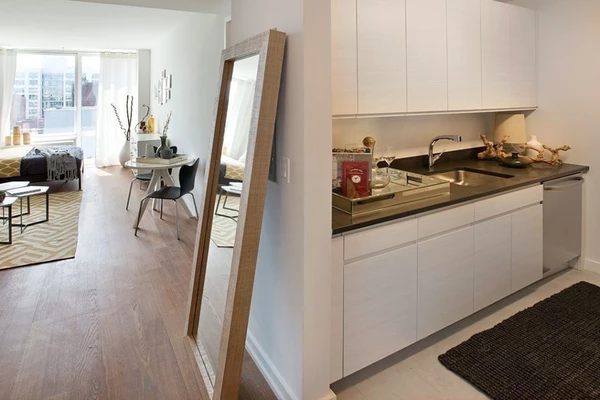 1 bedroom apartment for rent in LIC - Queens, New York