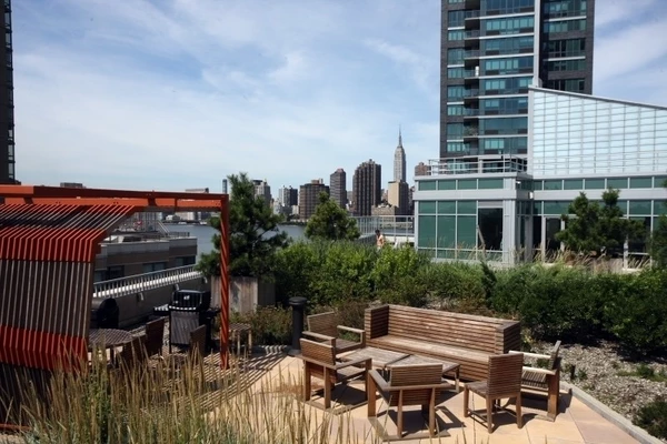 1 bedroom apartment for rent in LIC - Queens, New York