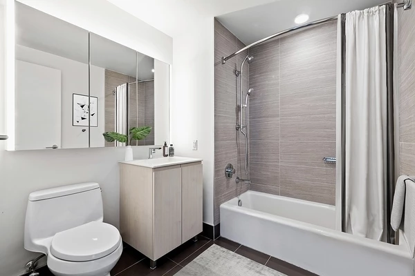 1 bedroom apartment for rent in LIC - Queens, New York