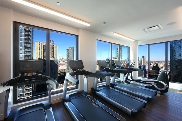 1 bedroom apartment for rent in LIC - Queens, New York