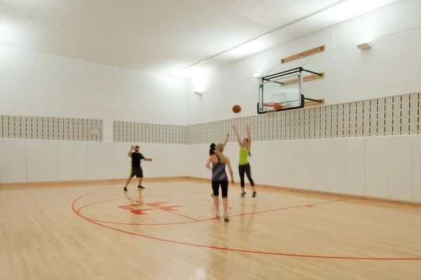 1 bedroom apartment for rent in LIC - Queens, New York