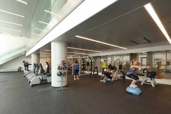 1 bedroom apartment for rent in LIC - Queens, New York