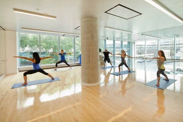 1 bedroom apartment for rent in LIC - Queens, New York