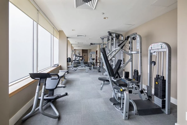 1 bedroom apartment for rent in LIC - Queens, New York