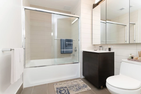 1 bedroom apartment for rent in LIC - Queens, New York