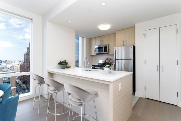 1 bedroom apartment for rent in LIC - Queens, New York