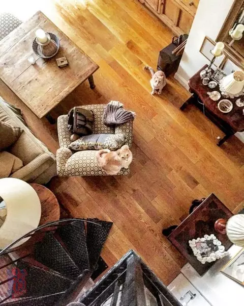 2 bedrooms apartment for rent in Upper East Side - Manhattan, New York