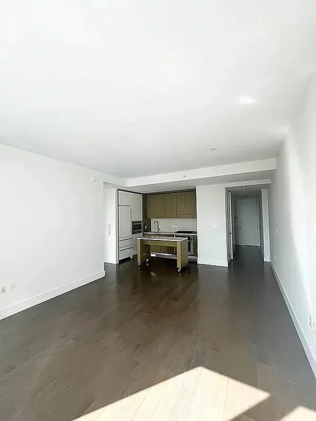 1 bedroom apartment for rent in Downtown Brooklyn - Brooklyn, New York