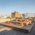 1 bedroom apartment for rent in East Flatbush - Brooklyn, New York
